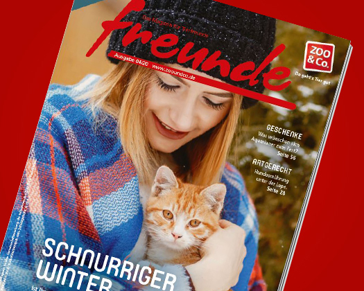 freunde-Magazin 04/2020